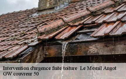 Intervention d'urgence fuite toiture le-mesnil-angot-50620 GW couvreur 50