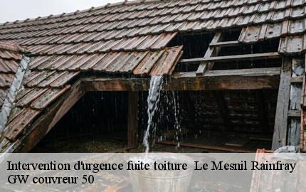 Intervention d'urgence fuite toiture le-mesnil-rainfray-50520 GW couvreur 50