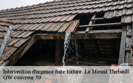 Intervention d'urgence fuite toiture le-mesnil-thebault-50540 GW couvreur 50