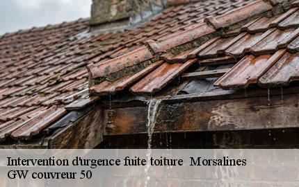 Intervention d'urgence fuite toiture morsalines-50630 GW couvreur 50