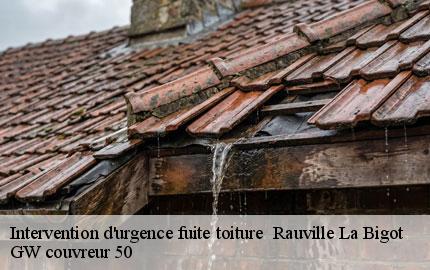 Intervention d'urgence fuite toiture rauville-la-bigot-50260 GW couvreur 50