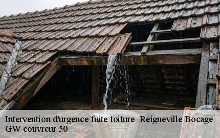 Intervention d'urgence fuite toiture   reigneville-bocage-50390 GW couvreur 50