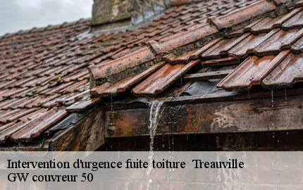 Intervention d'urgence fuite toiture   treauville-50340 GW couvreur 50