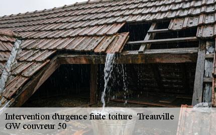 Intervention d'urgence fuite toiture   treauville-50340 GW couvreur 50