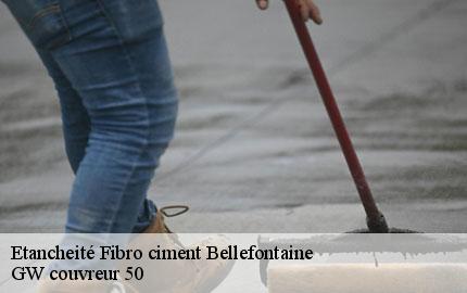 Etancheité Fibro ciment  bellefontaine-50520 GW couvreur 50