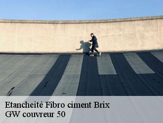 Etancheité Fibro ciment brix-50700 GW couvreur 50