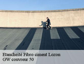 Etancheité Fibro ciment lozon-50570 GW couvreur 50