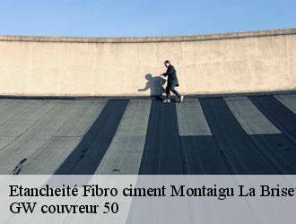 Etancheité Fibro ciment  montaigu-la-brisette-50700 GW couvreur 50