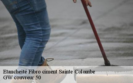 Etancheité Fibro ciment sainte-colombe-50390 GW couvreur 50