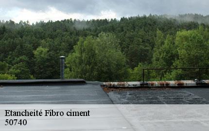 Etancheité Fibro ciment  saint-michel-des-loups-50740 GW couvreur 50