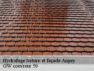 Hydrofuge toiture et façade  angey-50530 GW couvreur 50
