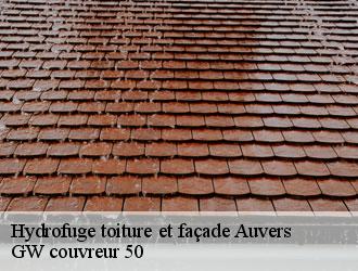 Hydrofuge toiture et façade auvers-50500 GW couvreur 50