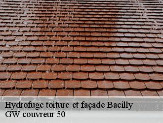 Hydrofuge toiture et façade bacilly-50530 GW couvreur 50