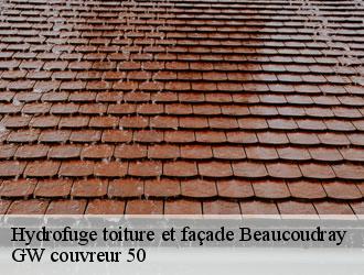 Hydrofuge toiture et façade beaucoudray-50420 GW couvreur 50