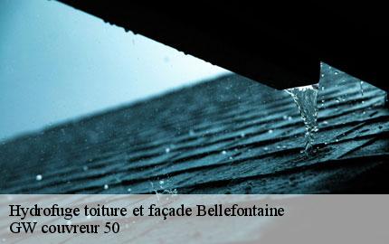 Hydrofuge toiture et façade bellefontaine-50520 GW couvreur 50