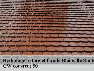 Hydrofuge toiture et façade blainville-sur-mer-50560 GW couvreur 50