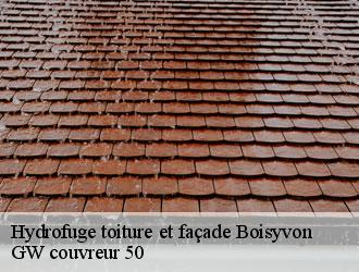 Hydrofuge toiture et façade boisyvon-50800 GW couvreur 50
