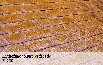 Hydrofuge toiture et façade  canisy-50750 GW couvreur 50