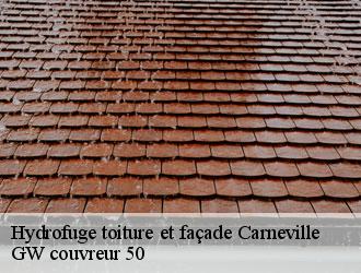 Hydrofuge toiture et façade carneville-50330 GW couvreur 50