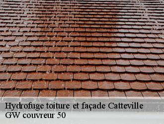 Hydrofuge toiture et façade catteville-50390 GW couvreur 50