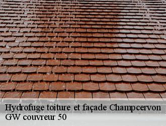 Hydrofuge toiture et façade champcervon-50320 GW couvreur 50