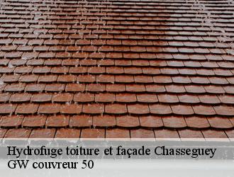 Hydrofuge toiture et façade chasseguey-50520 GW couvreur 50