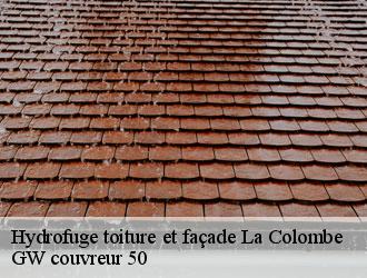 Hydrofuge toiture et façade la-colombe-50800 GW couvreur 50