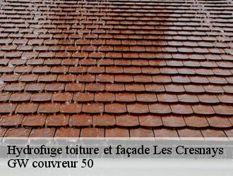 Hydrofuge toiture et façade les-cresnays-50370 GW couvreur 50