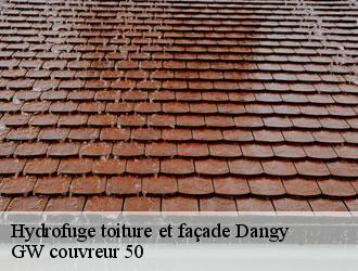 Hydrofuge toiture et façade dangy-50750 GW couvreur 50