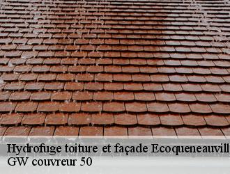 Hydrofuge toiture et façade ecoqueneauville-50480 GW couvreur 50