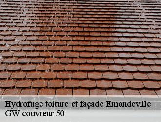 Hydrofuge toiture et façade emondeville-50310 GW couvreur 50