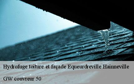Hydrofuge toiture et façade  equeurdreville-hainneville-50120 GW couvreur 50