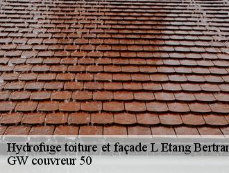 Hydrofuge toiture et façade l-etang-bertrand-50260 GW couvreur 50
