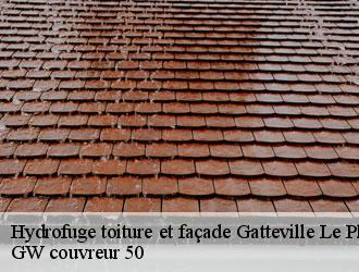 Hydrofuge toiture et façade gatteville-le-phare-50760 GW couvreur 50