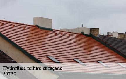 Hydrofuge toiture et façade gourfaleur-50750 GW couvreur 50