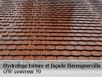 Hydrofuge toiture et façade  herenguerville-50660 GW couvreur 50