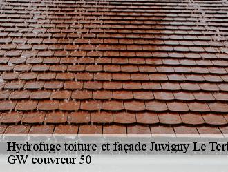 Hydrofuge toiture et façade juvigny-le-tertre-50520 GW couvreur 50