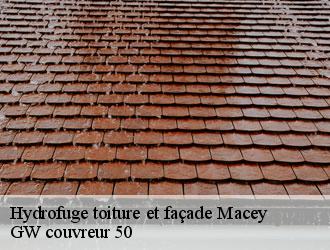 Hydrofuge toiture et façade macey-50170 GW couvreur 50