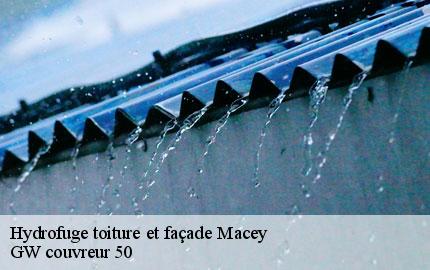 Hydrofuge toiture et façade macey-50170 GW couvreur 50