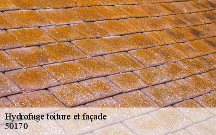 Hydrofuge toiture et façade macey-50170 GW couvreur 50