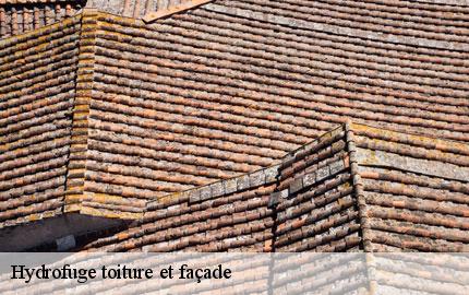 Hydrofuge toiture et façade macey-50170 GW couvreur 50
