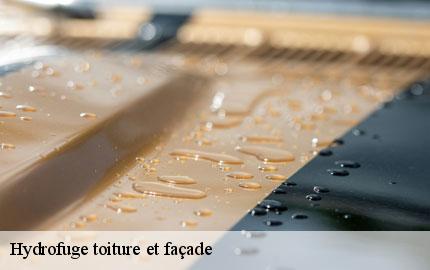Hydrofuge toiture et façade macey-50170 GW couvreur 50