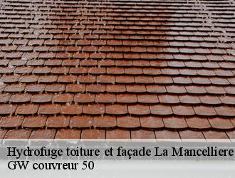 Hydrofuge toiture et façade la-mancelliere-50540 GW couvreur 50