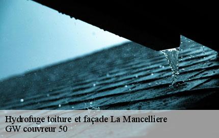 Hydrofuge toiture et façade la-mancelliere-50540 GW couvreur 50