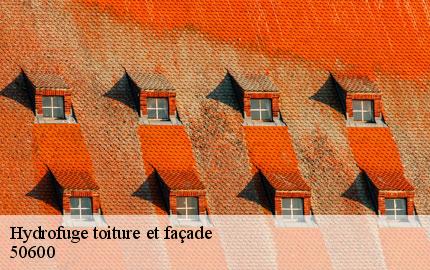 Hydrofuge toiture et façade martigny-50600 GW couvreur 50