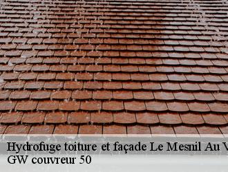 Hydrofuge toiture et façade le-mesnil-au-val-50110 GW couvreur 50