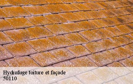 Hydrofuge toiture et façade le-mesnil-au-val-50110 GW couvreur 50