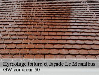 Hydrofuge toiture et façade  le-mesnilbus-50490 GW couvreur 50
