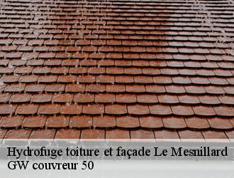 Hydrofuge toiture et façade le-mesnillard-50600 GW couvreur 50