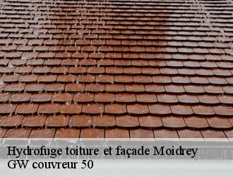 Hydrofuge toiture et façade moidrey-50170 GW couvreur 50